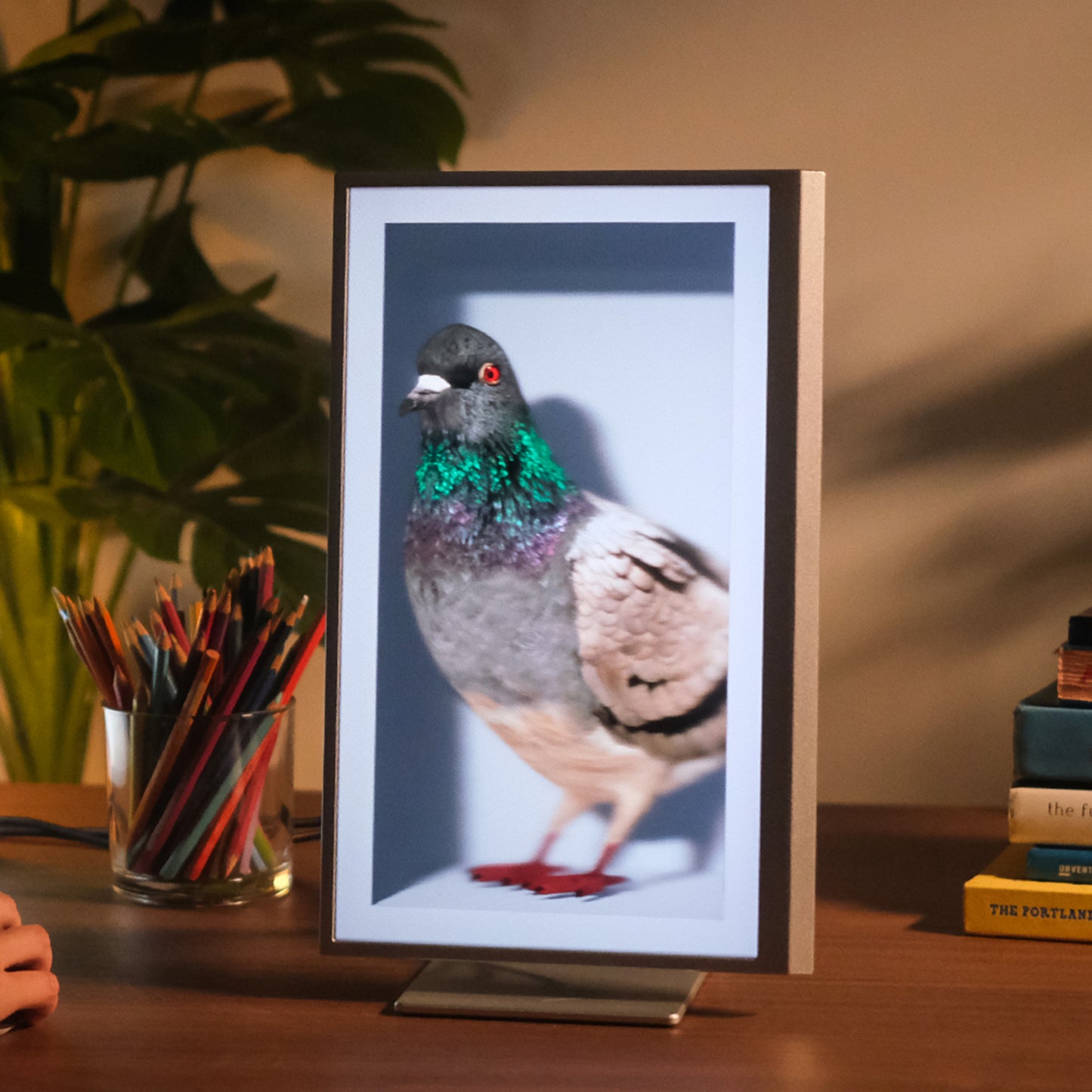 16" Light Field Display