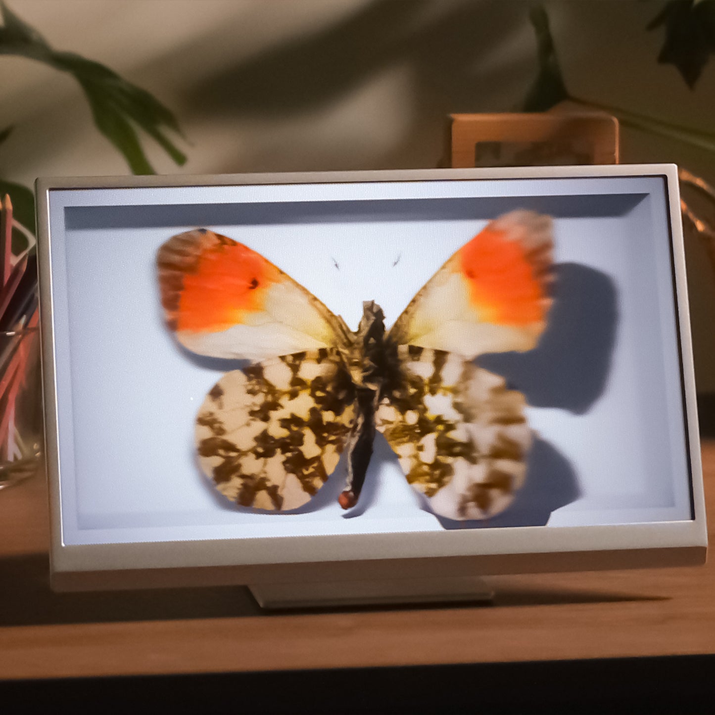 16" Light Field Display