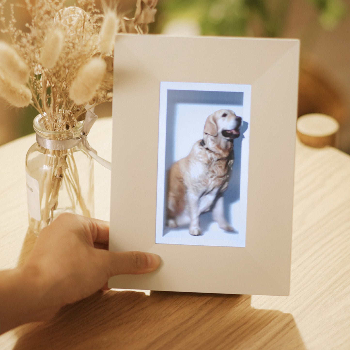 Looking Glass Go: Photo Bundle