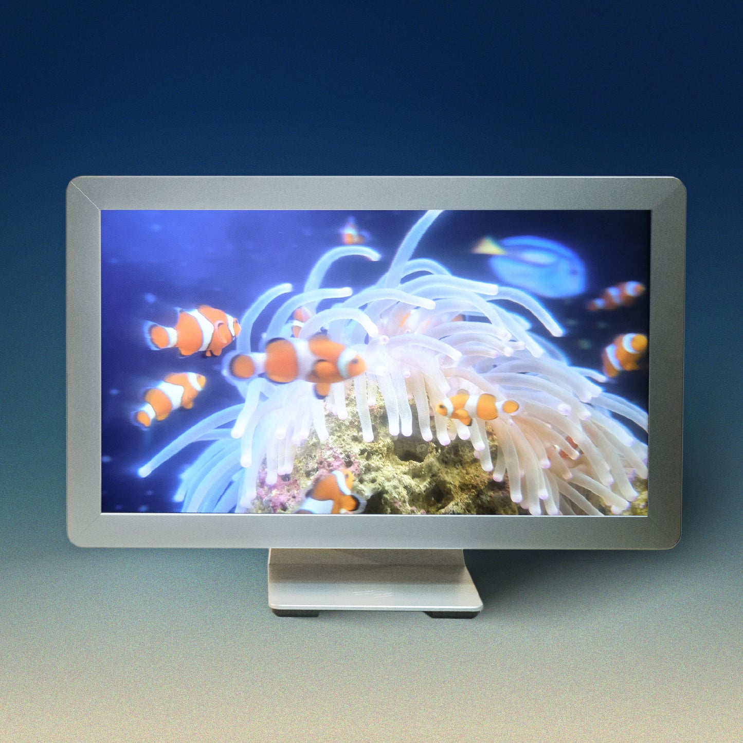 Looking Glass 27" Light Field Display - Landscape