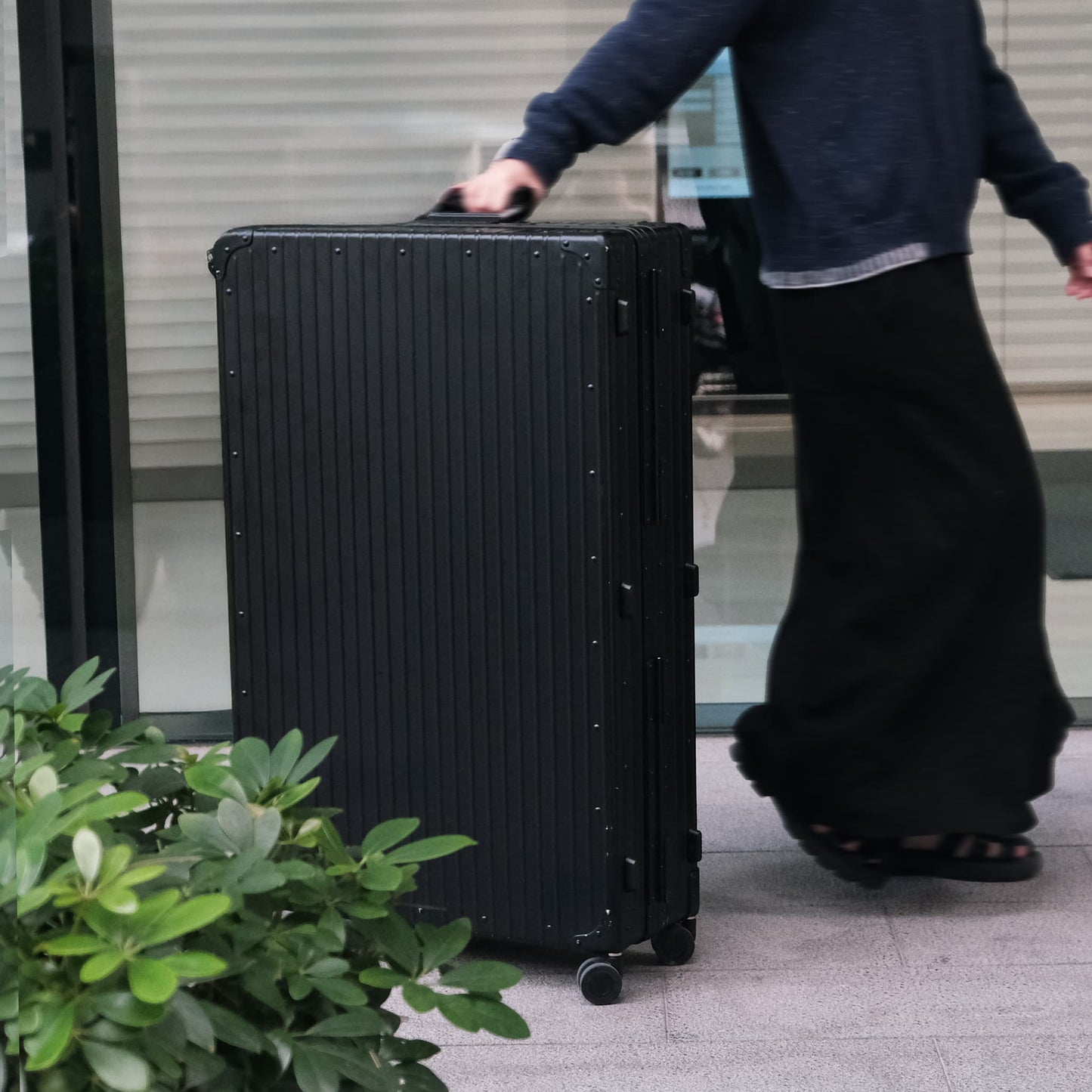 Hololuminescent™ Displays (HLD) Early access