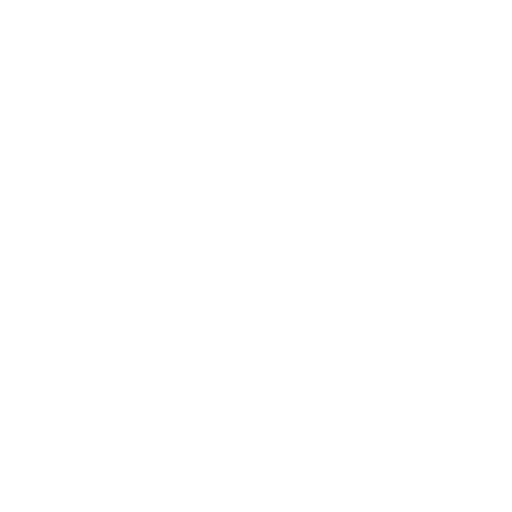 Computer Image