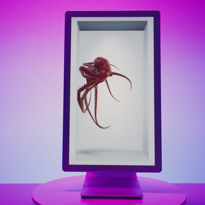 Hololuminescent™ Displays (HLD)